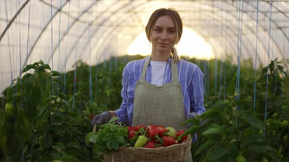 Portrait of a Woman with Fresh Harvested Greens and Peppers in Greenhouse