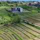 scooters driving on a narrow road through the Bali rice fields on sunny day, aerial - VideoHive Item for Sale