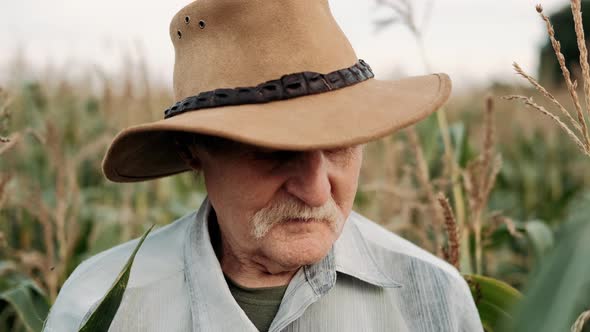 Closeup Portrait of Old Farmer in Hat with Moustache Standing in Middle of Corn Field in Sunset