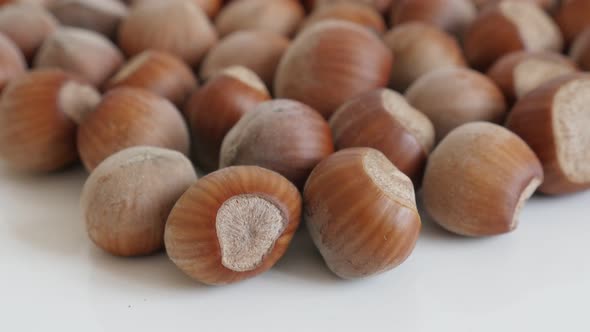 Close-up of ripe hazelnuts on white background  4K 2160p 30fps UltraHD tilting footage - Nuts of the
