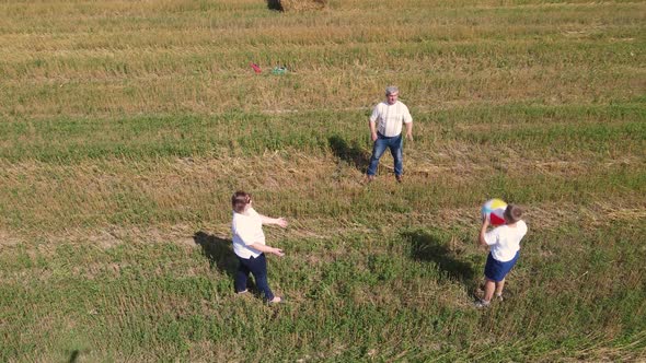 Happy Family Having Fun Playing Ball Outdoors Aerial View