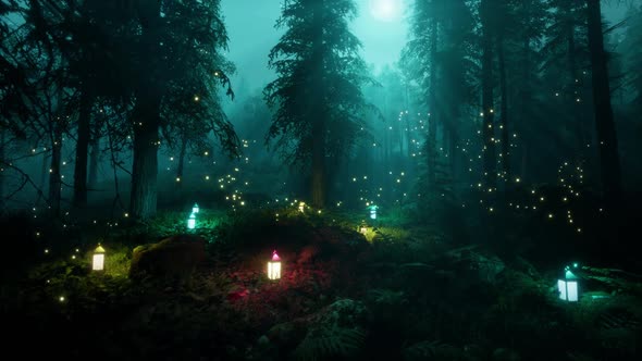 Lanterns in a forest with Moon Light HD