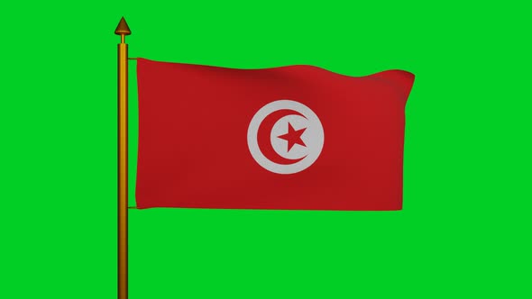 National flag of Tunisia waving with flagpole on chroma key, Republic of Tunisia flag