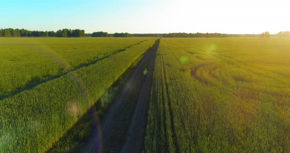 Aerial View on Young Boy That Rides a Bicycle Thru a Wheat Grass Field on the Old Rural Road