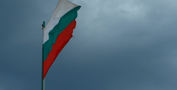 Bulgarian Flag 1