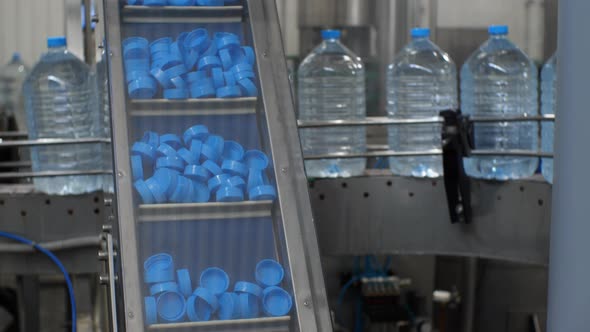 Caps of blue color rise on the conveyor against the background of five-liter water bottles