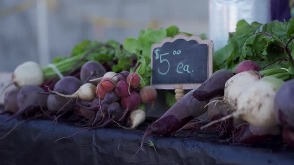 Beets and Radishes at local farmers Market.