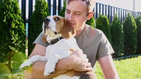 Man Affectionately Playing with Pet Cute Dog Beagle at Grass Outdoors in a Green Park