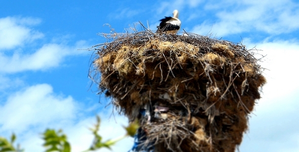 Stork with Babies (Miniature Effect) 2