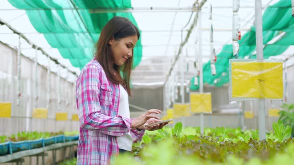 Happy Asian woman farmer using smartphone for send picture of fresh vegetable salad to customer befo