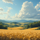 Wheat Field Summer Ambience
