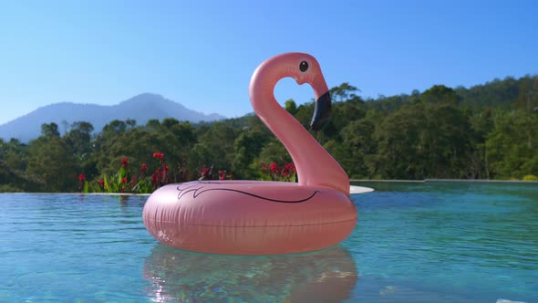 The Hottest Summer Accessory Flamingo Inflatable Ride on Floating in a Private Pool of a Tropical