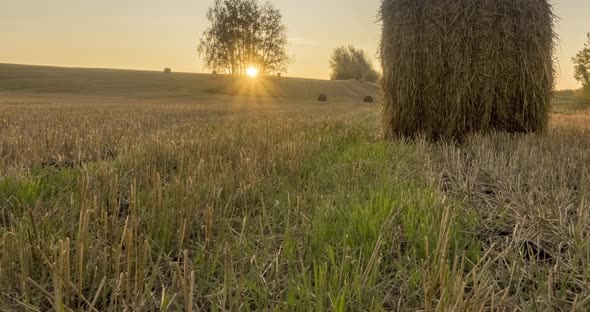 Flat Hill Meadow Timelapse at the Summer Sunset Time