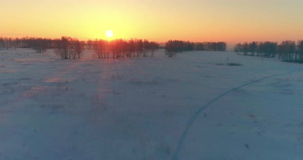 Aerial Drone View of Cold Winter Landscape with Arctic Field, Trees Covered with Frost Snow