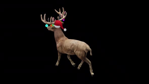 Santas Reindeer Fast Walk View Top Angle Back