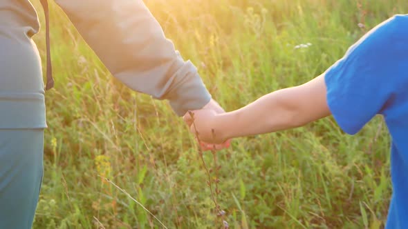 A woman with a Caucasian boy walk across the field holding hands. Friendship of mom and son theme. M
