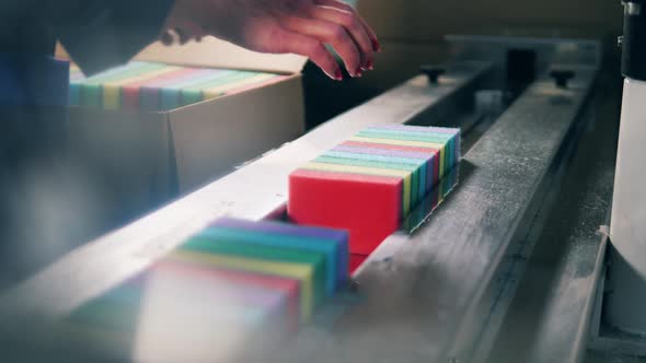 Female Factory Worker Loading Sponges From a Box Onto a Conveyor Belt. Close Up