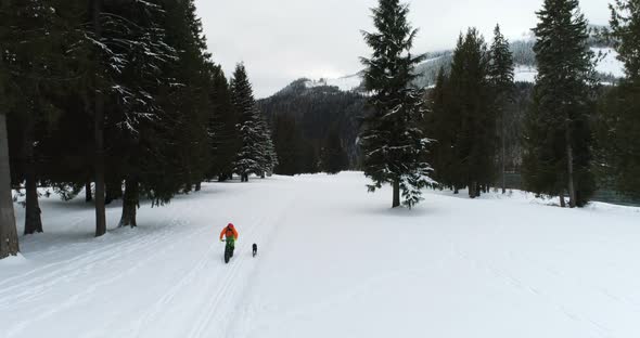 Man with dog cycling on snowy forest 4k