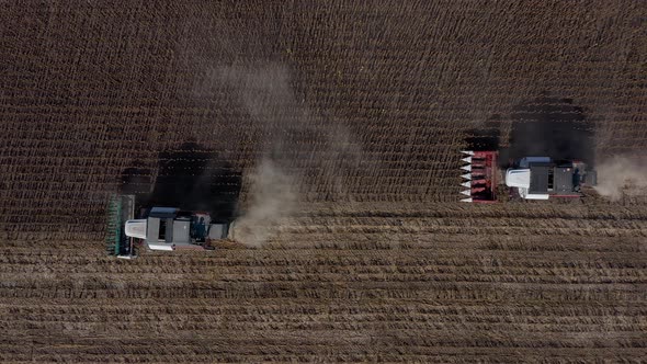 Harvesting of Sunflower Seeds Aerial View