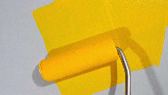 Abstract Brushstrokes of Yellow Paint Brush Roller Applied Isolated on a Gray Background