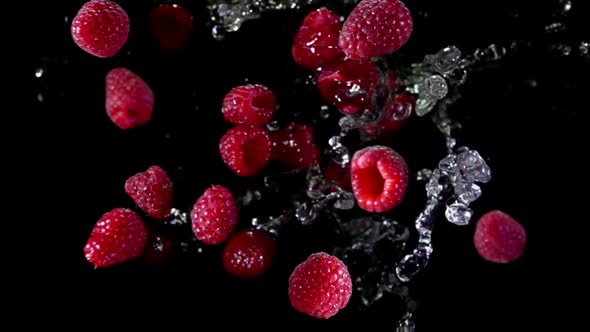 Ripe Juicy Raspberries Fly To the Camera