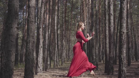 Skill Young Woman in Red Dress Dancing in the Forest Landscape. Beautiful Dancer Showing Classic