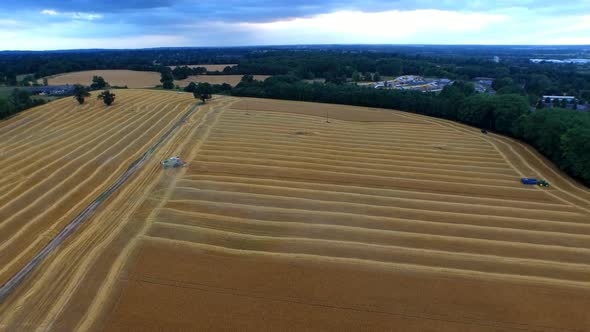 Combine Harvester Working in a Wheat Field