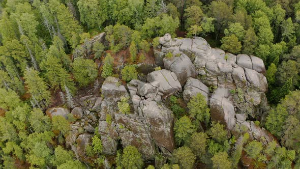 The wild mountains