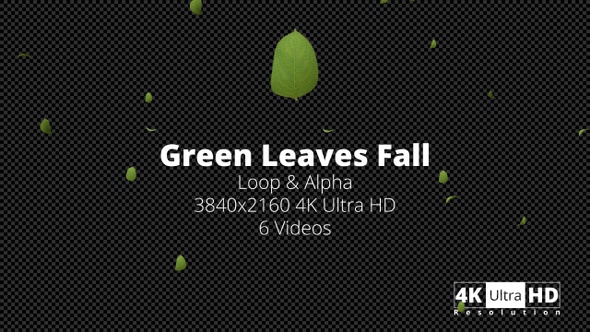 Green Leaves Fall 4K