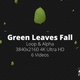 Green Leaves Fall 4K - VideoHive Item for Sale