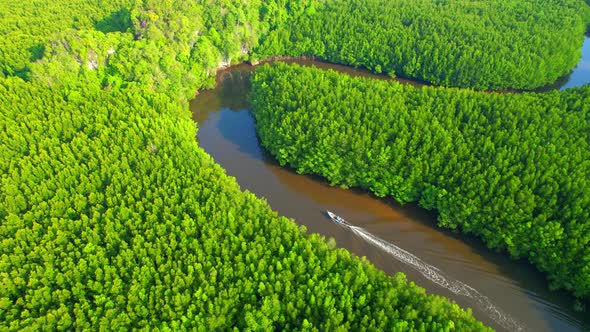 Top view of the boat cruising along the river with mangroves surrounding.