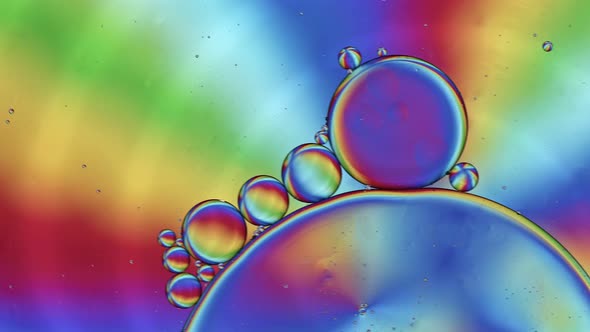Abstract Colorful Food Oil Drops Bubbles 143