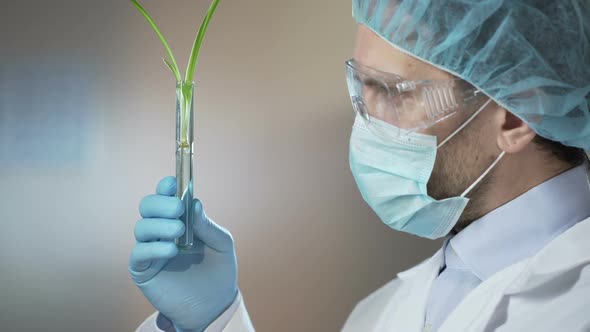 Cosmetic Laboratory Worker Carefully Examining Samples Before Taking Extracts