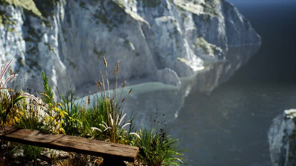 Fresh Grass at Big Rocky Cliff in Ocean