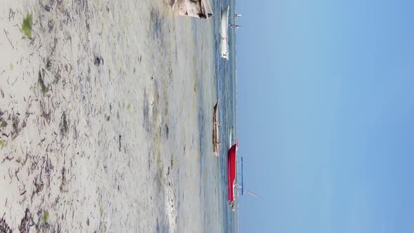 Zanzibar Tanzania  Vertical Video of Low Tide in the Ocean Near the Coast Slow Motion