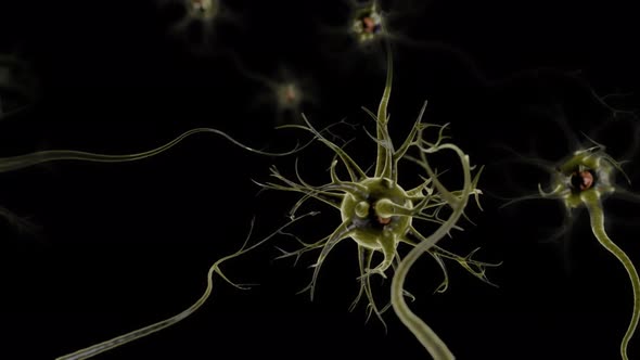 Neuronal and Synapse Activity animation.