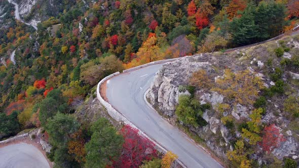 Aerial view of mountains and colorful trees