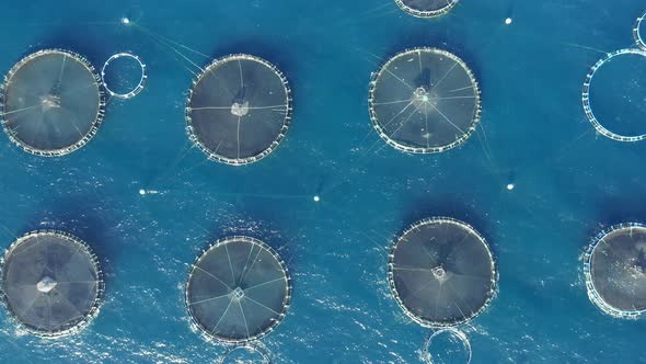 Open Sea Fish Farm Net Cages