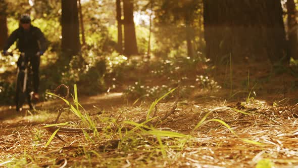 Male mountain biker riding in the forest