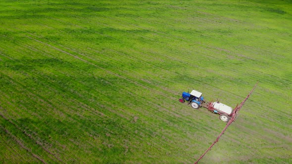 Tractor Is Spraying Pesticides on Grain Field.