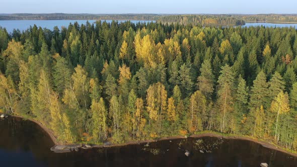 The Aerial View of the Green Trees in the Lake Saimaa in Finland