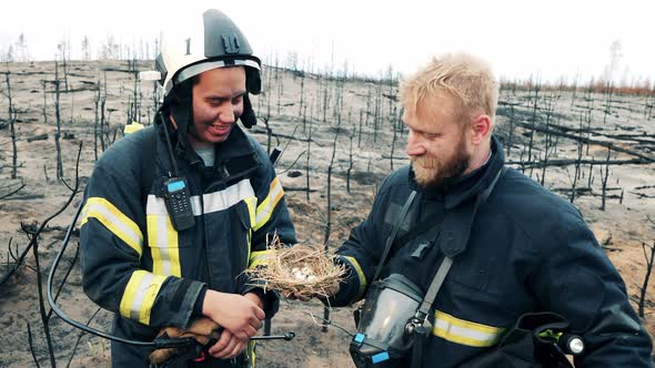 Two Firefighters are Happily Looking at Bird's Nest After the Fire