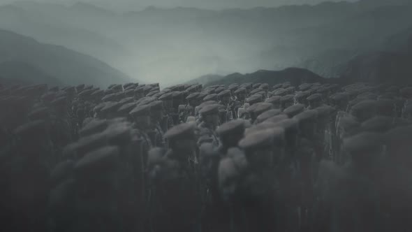 World War One British Troops Standing Silently Under A Storm