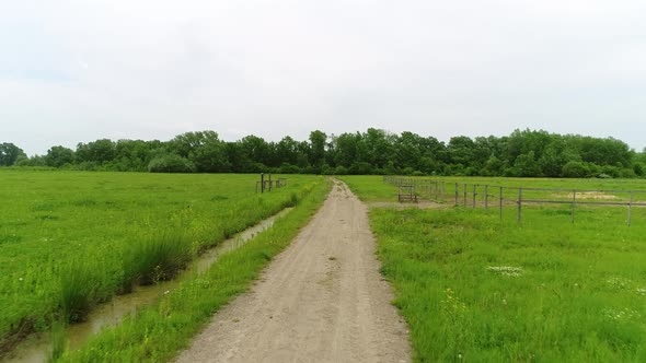 Green Field Forest and Dirt Road Near the Farm
