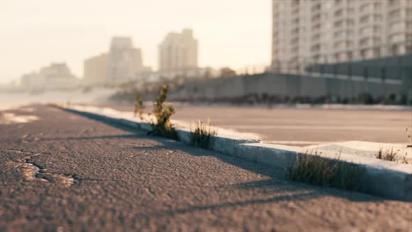 Parking Near the Sand Beach