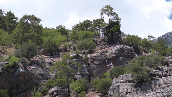 Panorama of Mountain Rocks