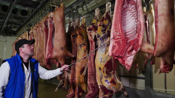 Slaughterhouse Worker Is Relocating Pieces of Meat with a Hook