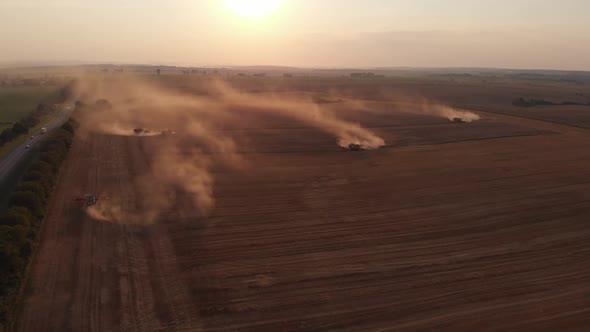 Harvest during summer sunset from the fields. Many combines harvesting wheat. Aerial drone view.