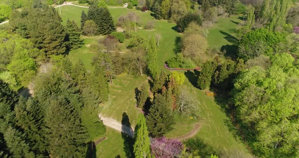 Aerial view of city park, garden. Summer in town, green trees.