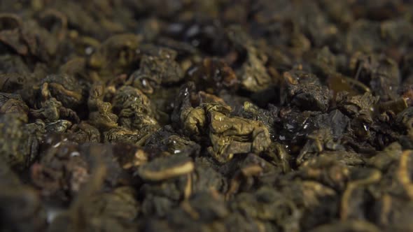 Brewing dry green leaves of gunpowder tea